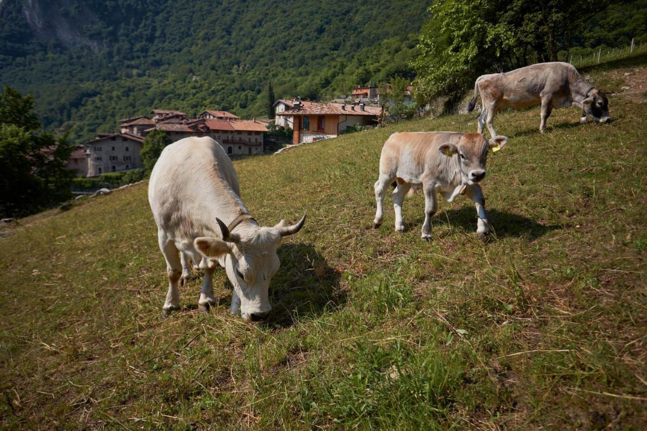 Le Terre Di Gu Villa Tenno Eksteriør bilde